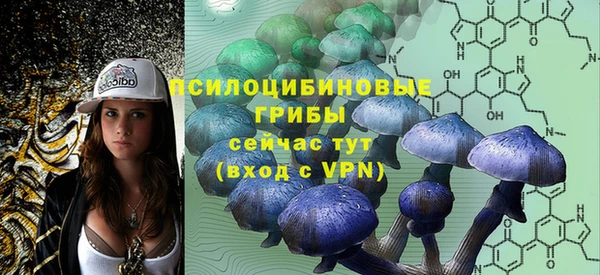 дмт Елизово