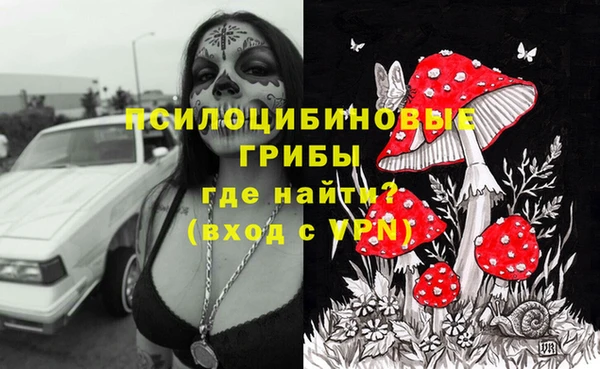эйфоретик Елабуга