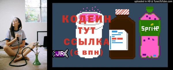 дмт Елизово