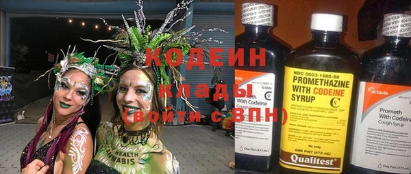 дмт Елизово