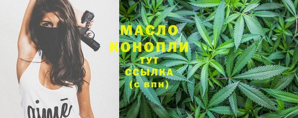 метамфетамин Ельня