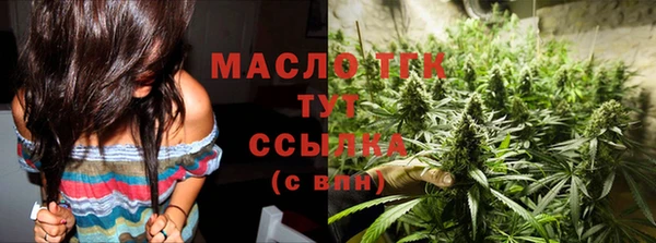 дмт Елизово