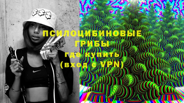метамфетамин Ельня
