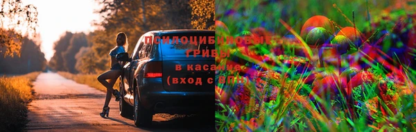 метамфетамин Ельня