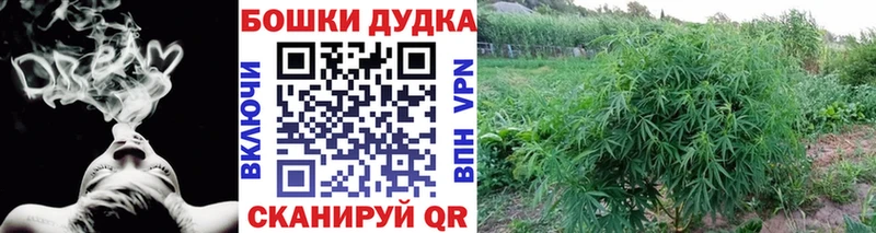 Канабис White Widow  Купить где  Добрянка 